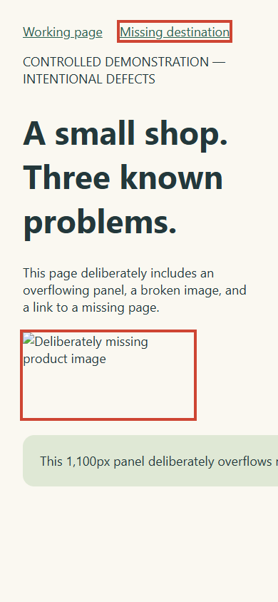 Controlled test page with a missing-destination link highlighted